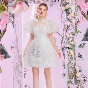 ❌SOLD❌White organza dress with embroidery